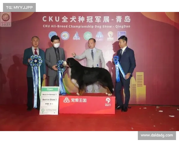中国美兰赛事:赛事期间的选手表现与成绩分析研究 中国美兰赛事:赛事期间的选手表现与成绩分析研究
