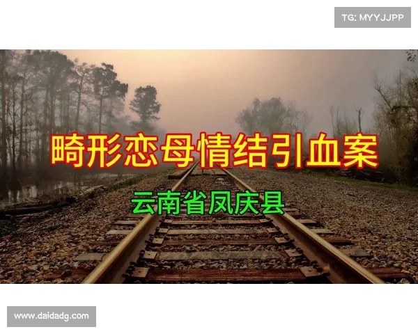 探索云南血案:恋母情结如何引发极端暴力 探索云南血案:恋母情结如何引发极端暴力