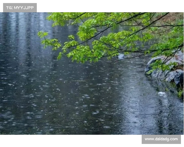 杭州突遇暴雨!一夜间天气急剧变化,这场雨何时结束?(杭州暴雨预测) 杭州突遇暴雨!一夜间天气急剧变化,这场雨何时结束?(杭州暴雨预测)